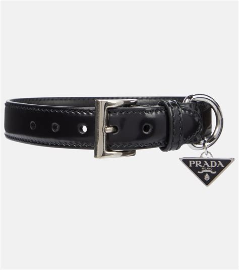 prada dog collar buy|designer female dog collars.